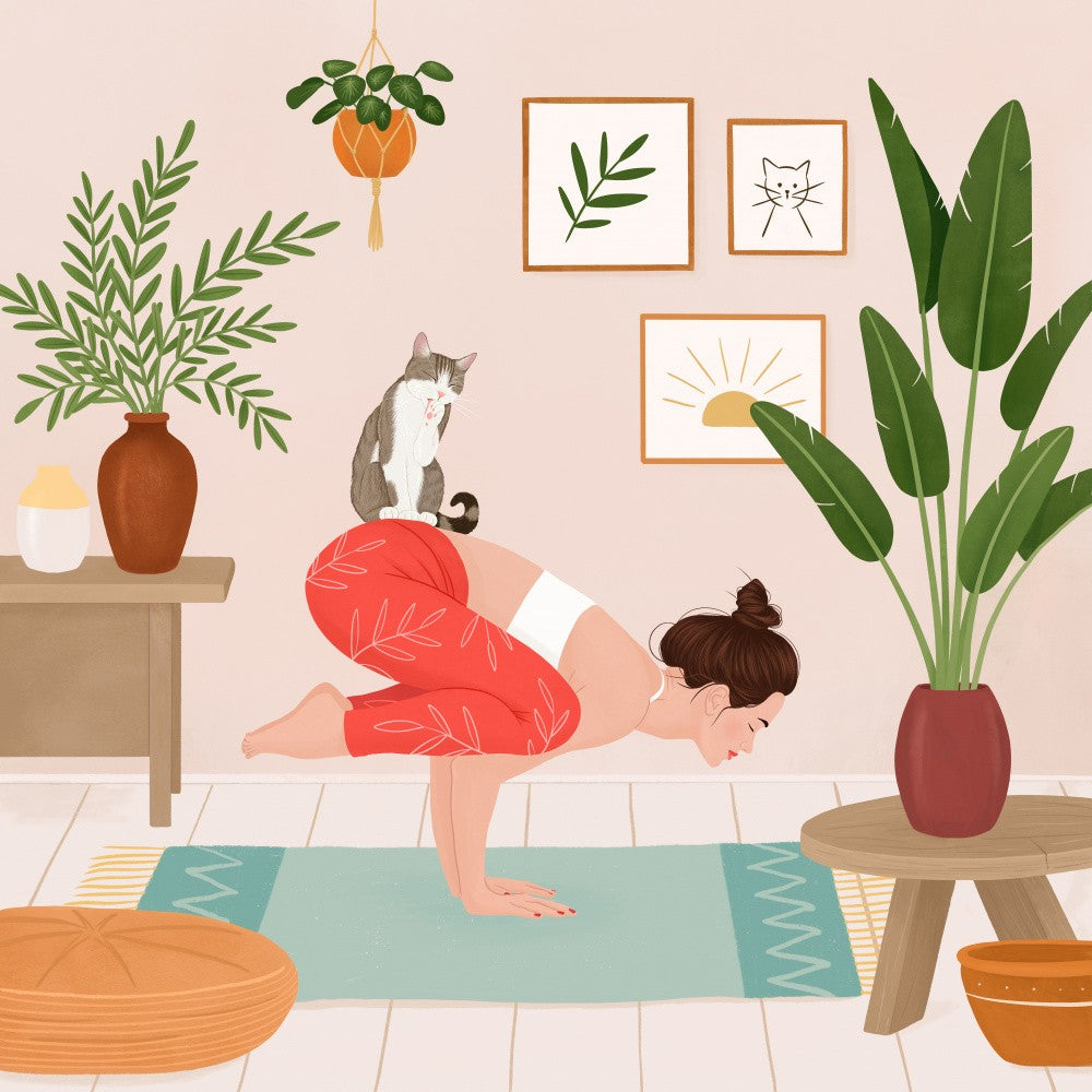 Katzenyoga