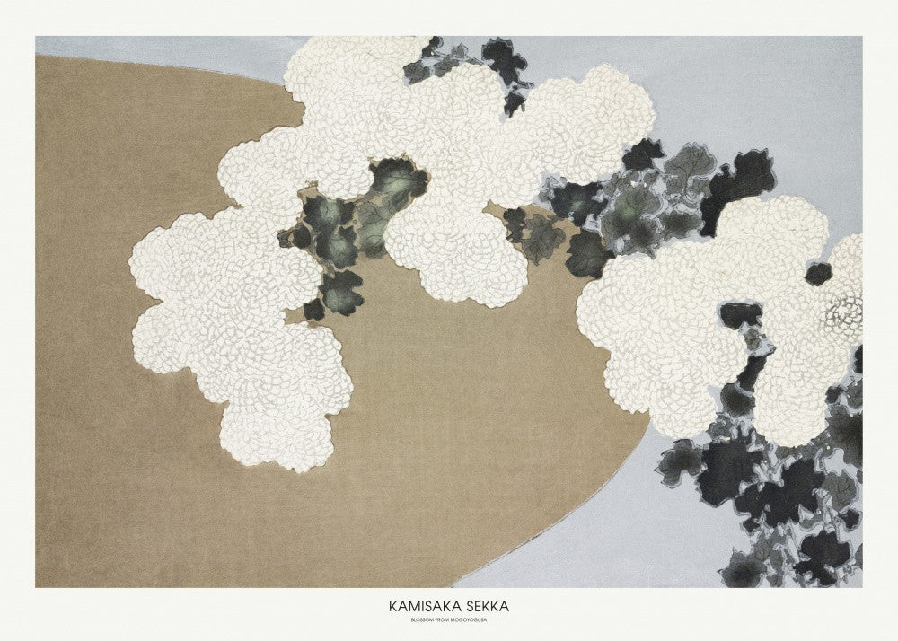 Blossom From Momoyogusa