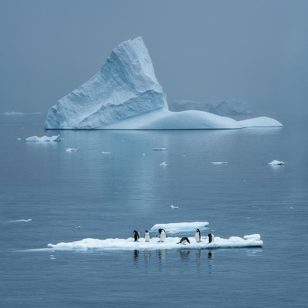 Daily Life in Antarctica