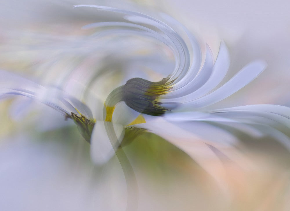 In motion.