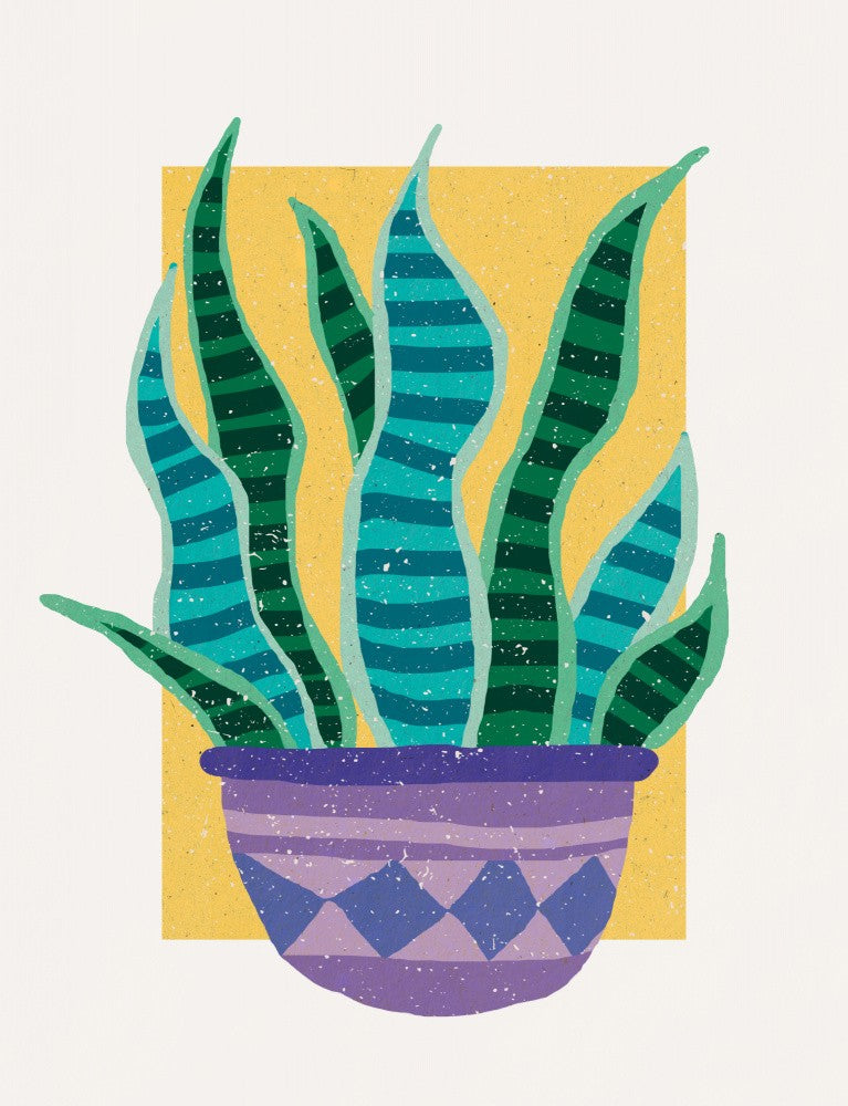 Plant in the Sun