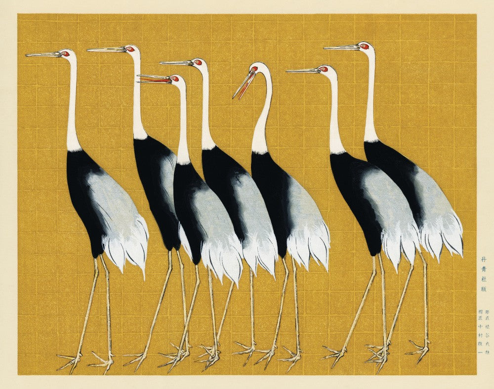 Japanese Red Crown Crane