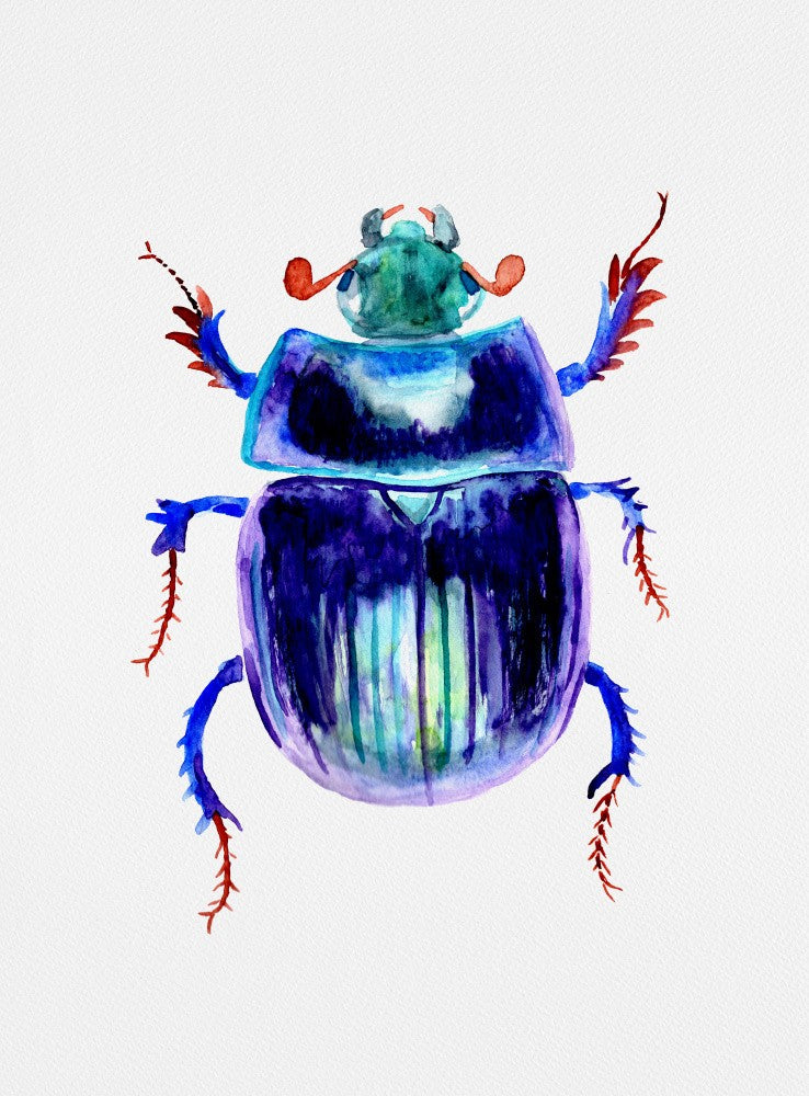 Erdbohr-Mistkäfer oder Anoplotrupes stercorosus