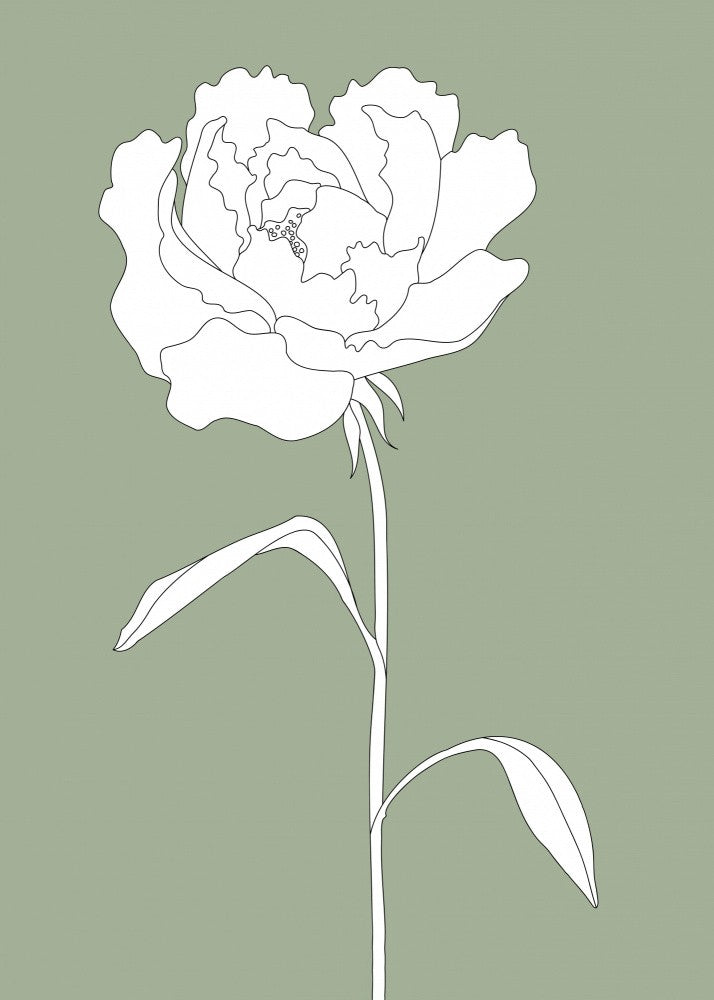 Rose in Green