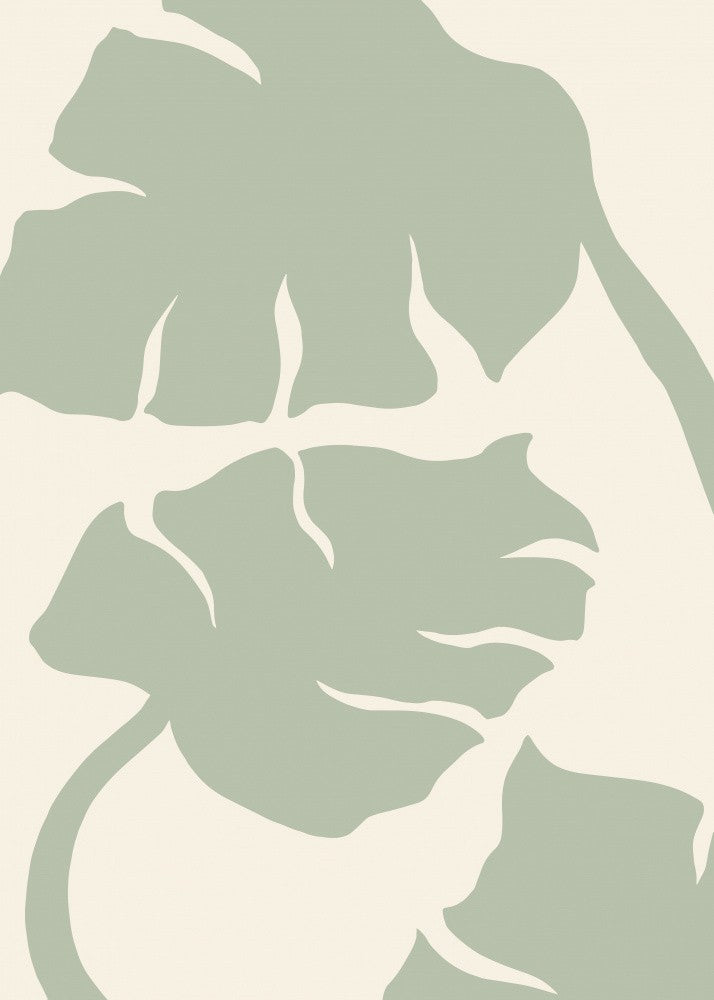 Monstera Sage Green