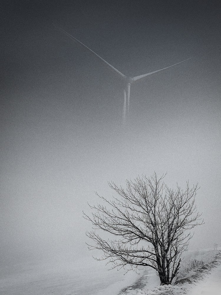 highland in wintertime