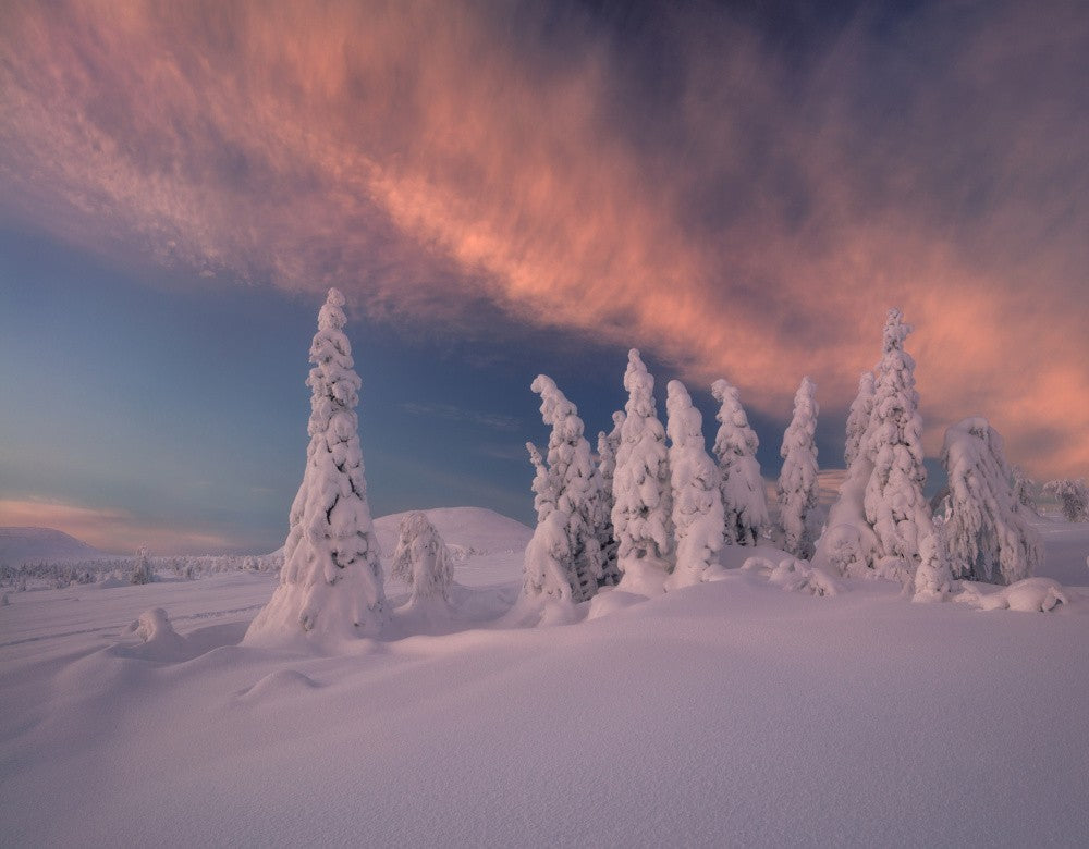 The flapping of a fiery wing