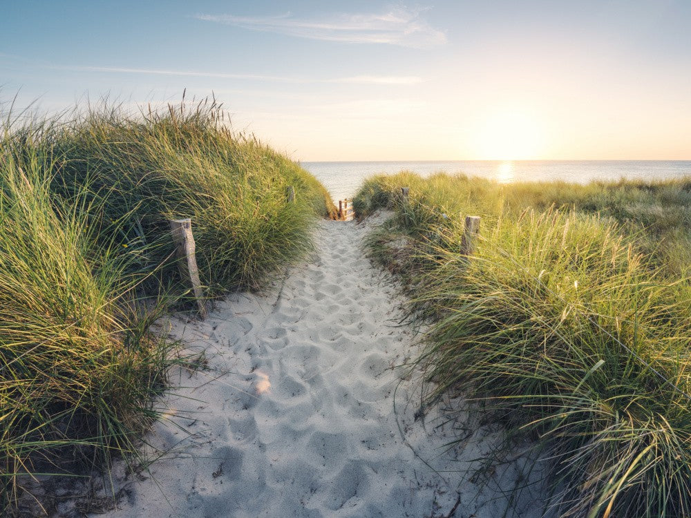 To the Beach