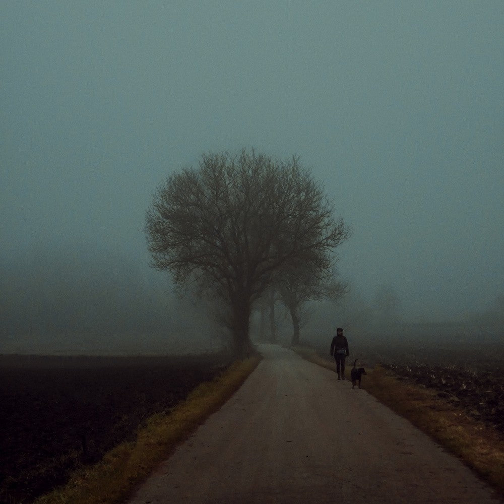 morning walk