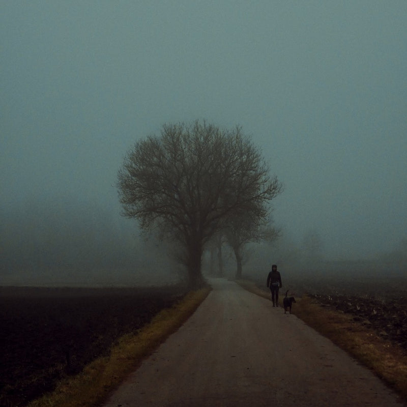 morning walk