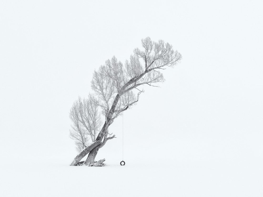 Lone Tree in Winter (Black/White)