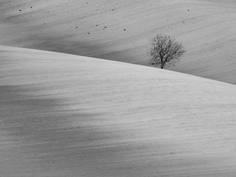 waiting for harvest
