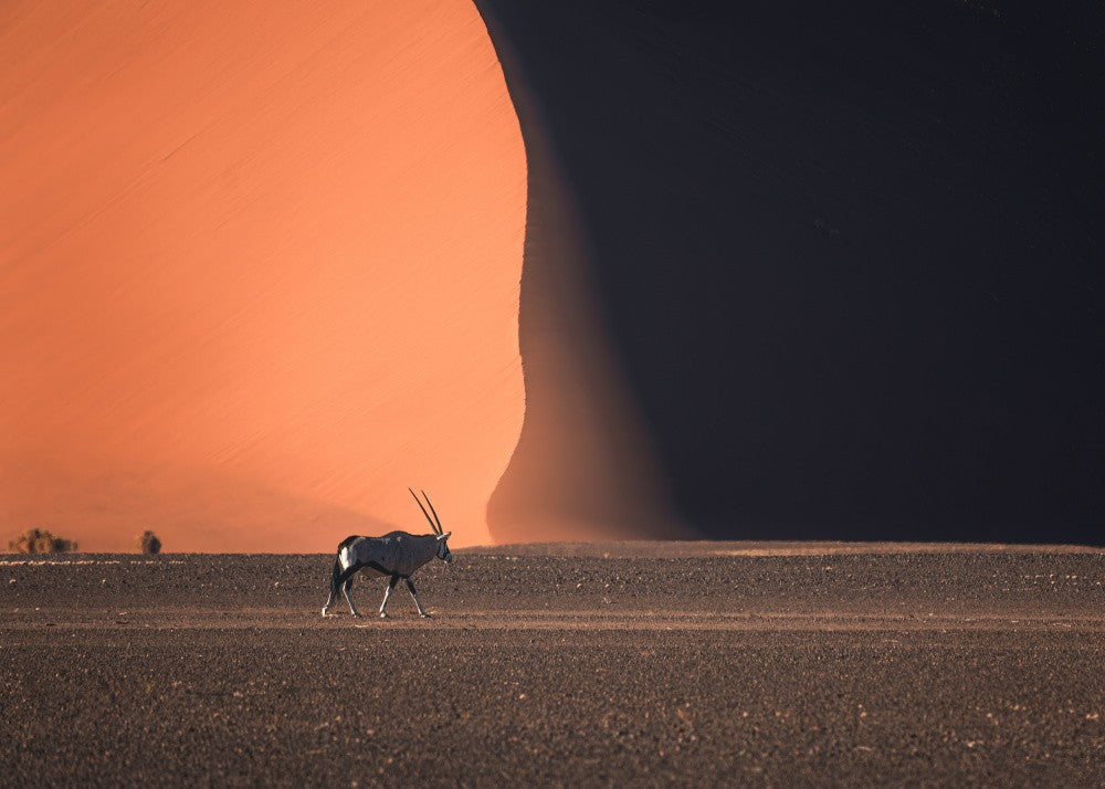 Namibia Impressions