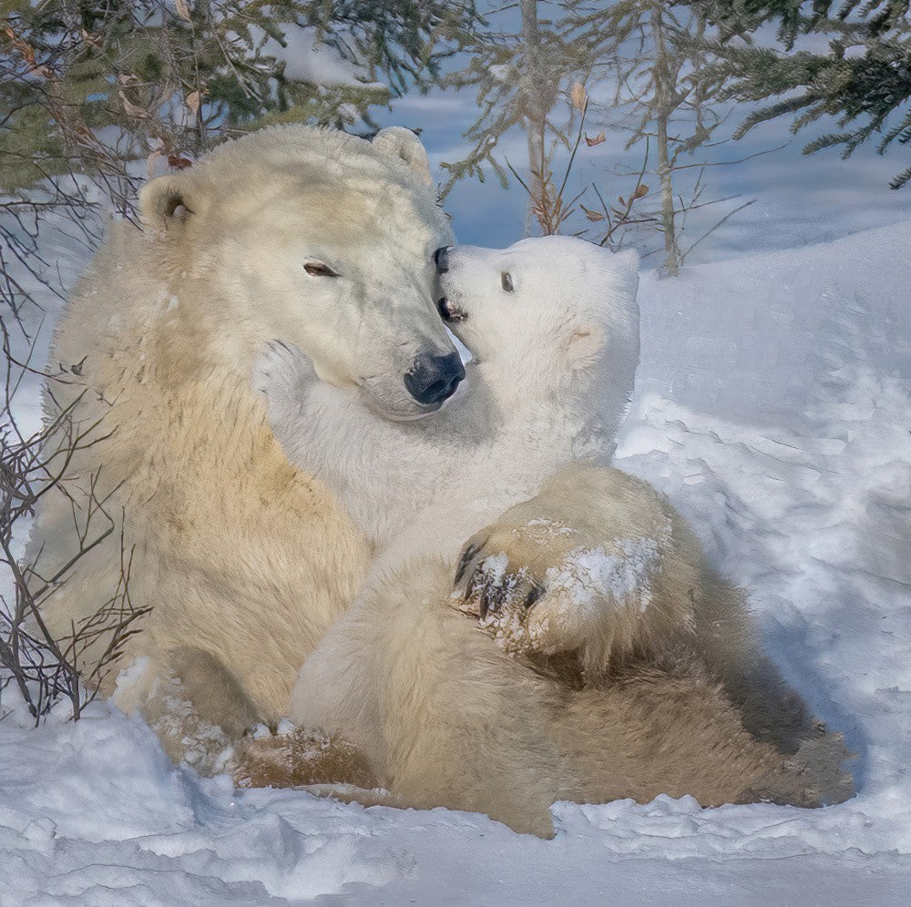 Heart melted