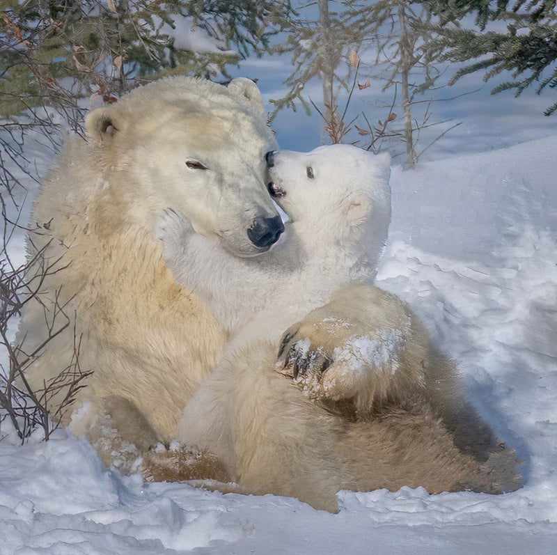 Heart melted