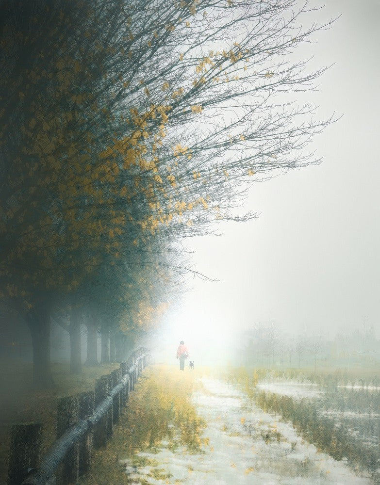 Misty Morning Stroll