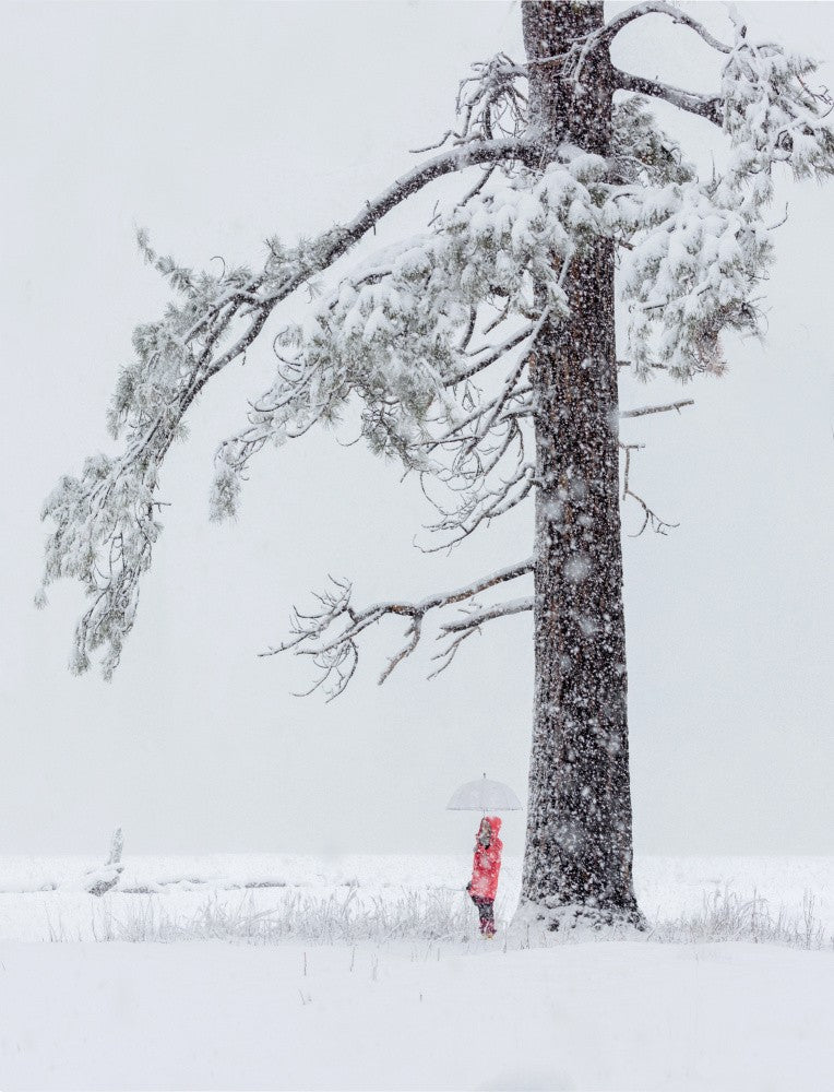 In Snow