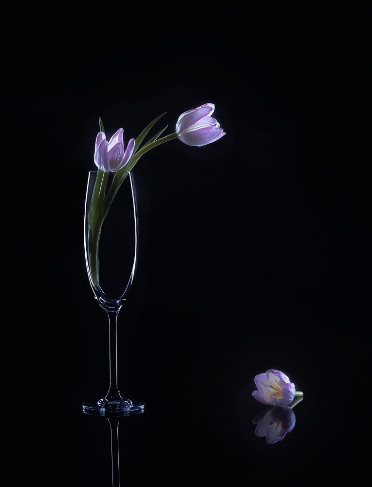 still life 74