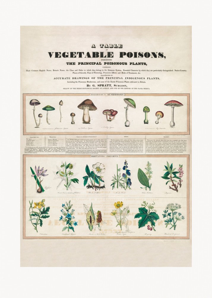 Poisonous Mushrooms Irritating Poisons