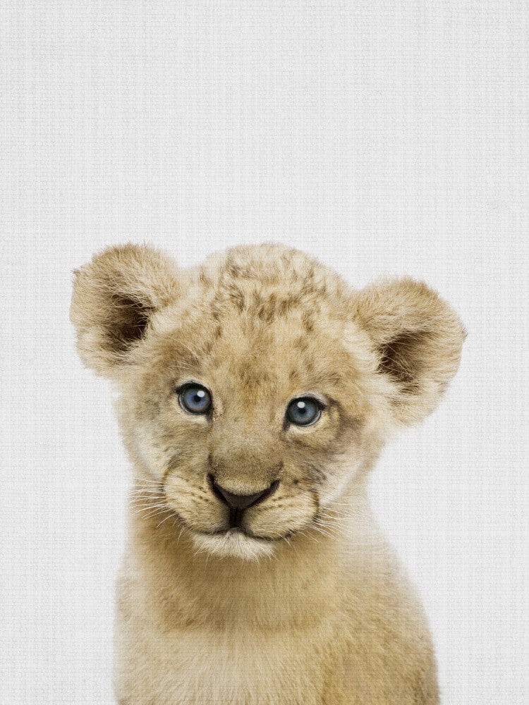 Peekaboo Baby Lion
