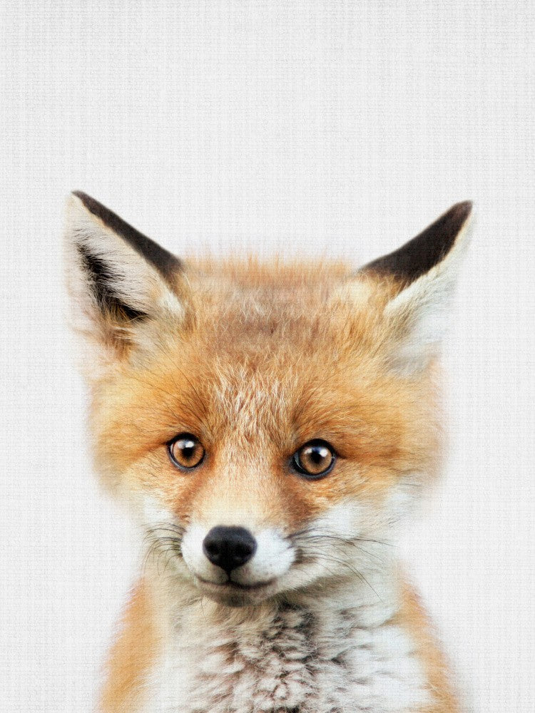 Peekaboo Baby Fox