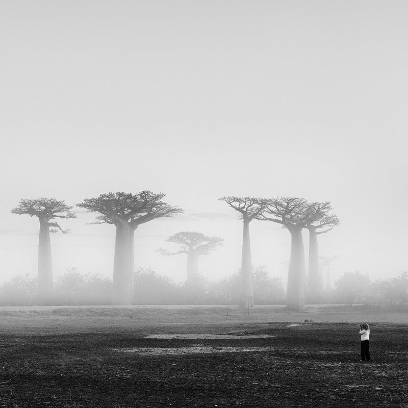 one stop Madagascar