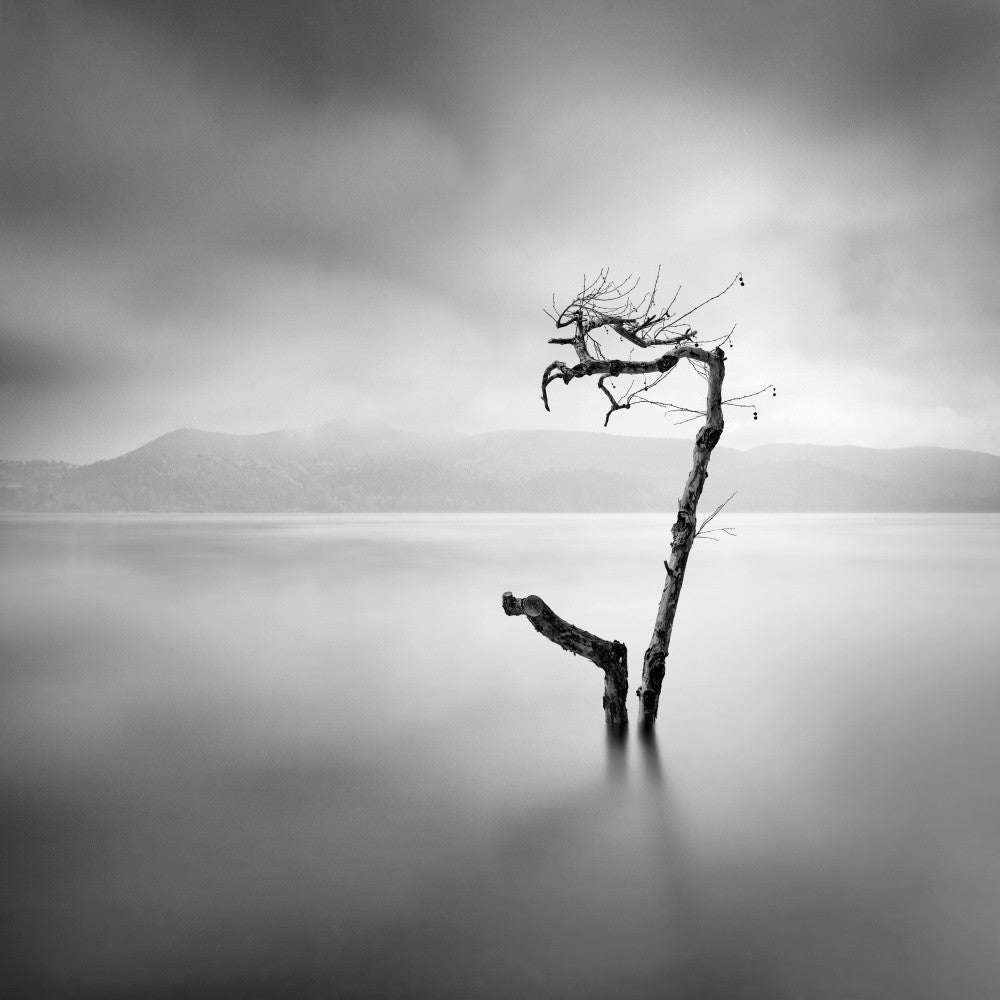 Flood