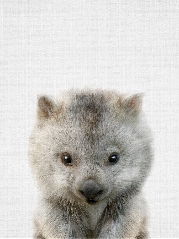 Guck-guck Babywombat
