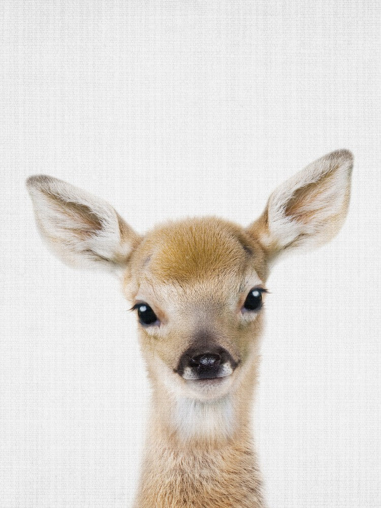 Peekaboo Baby Deer