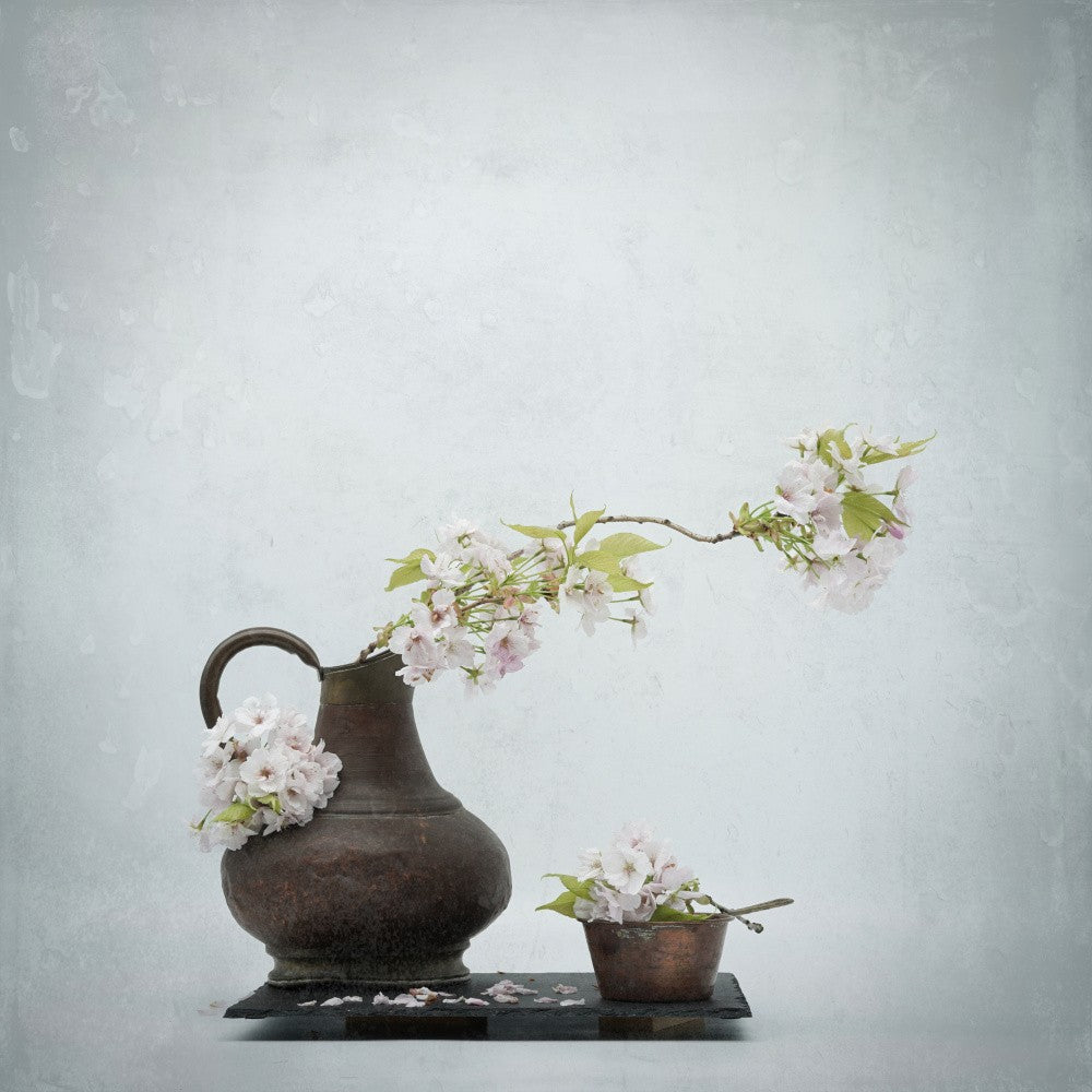 Spring impression .