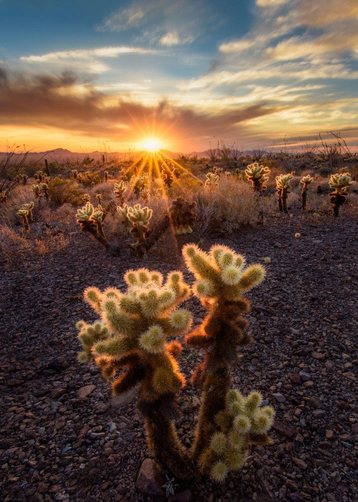 This is my territory