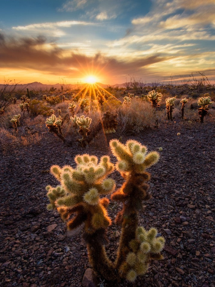 This is my territory