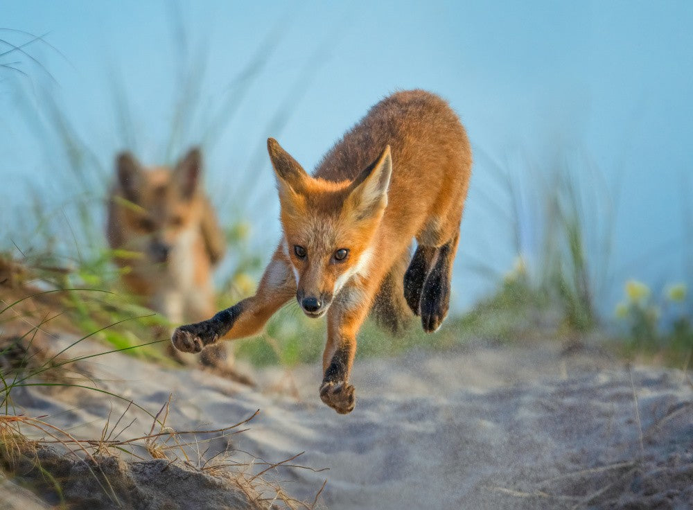 Playful Beach Boy