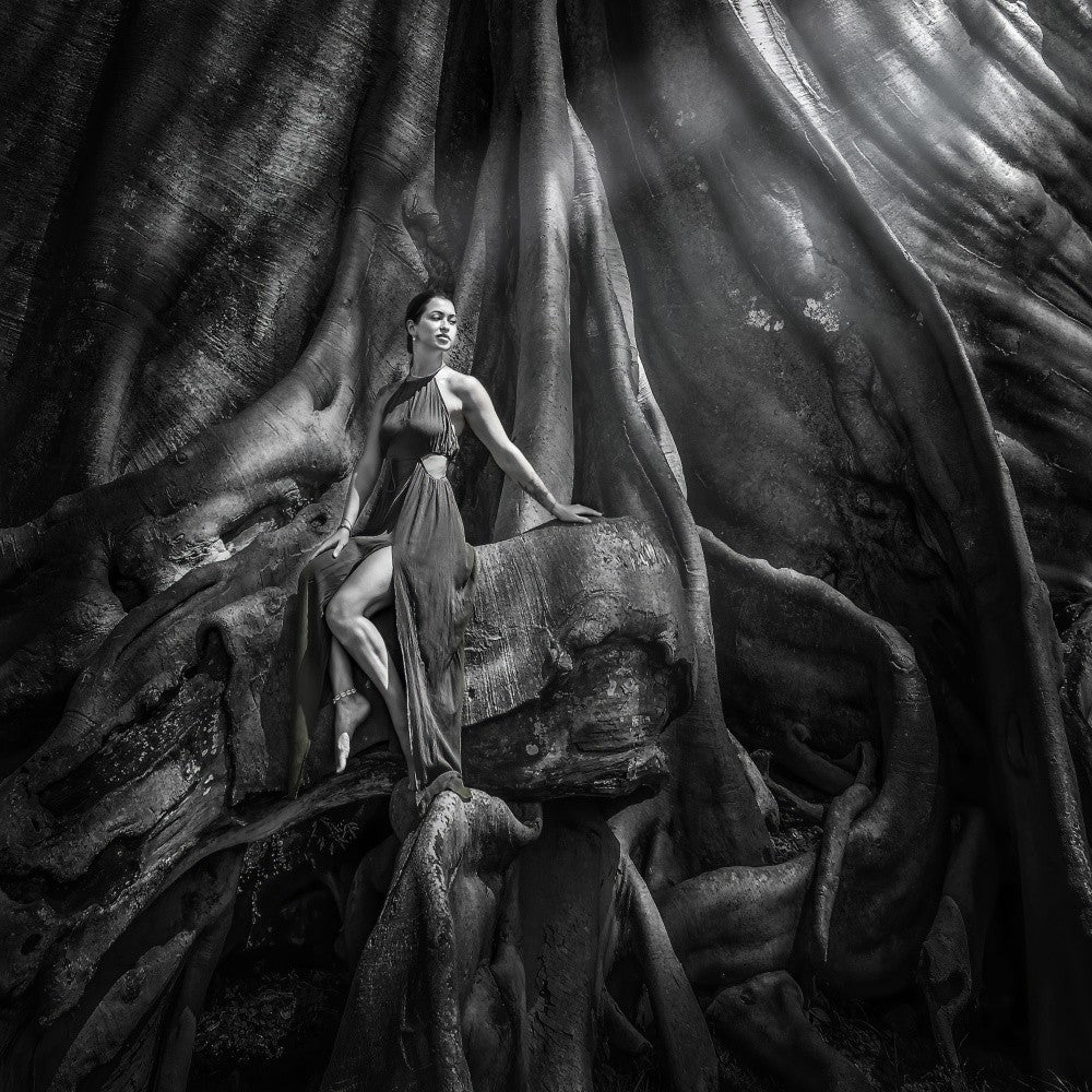 Woman and The Old tree