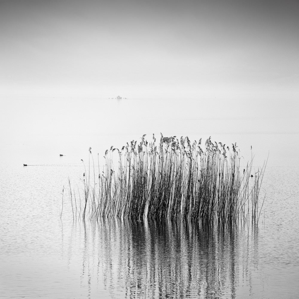 Enjoy the Silence