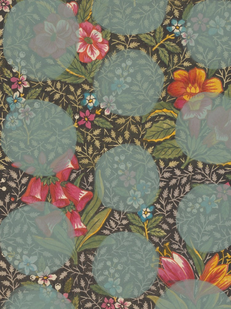 Colourful Flower