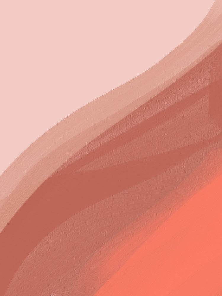 Coral IV