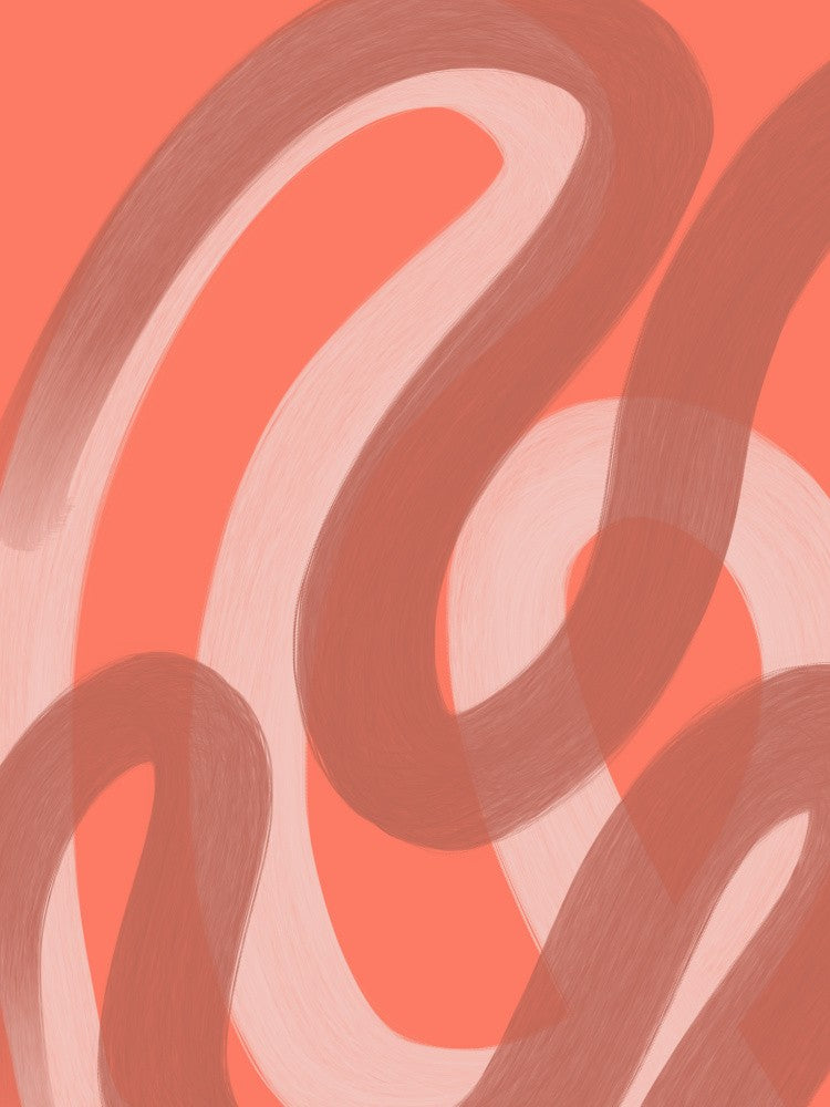 Coral V