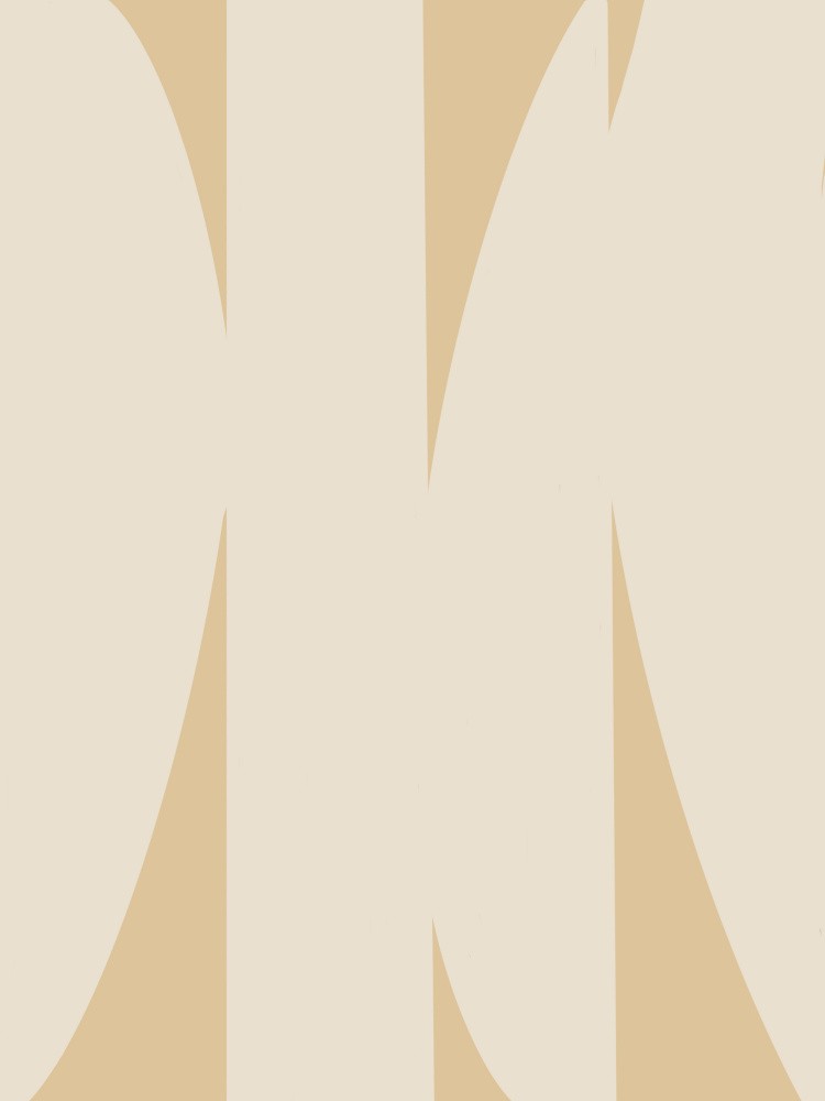 Amici