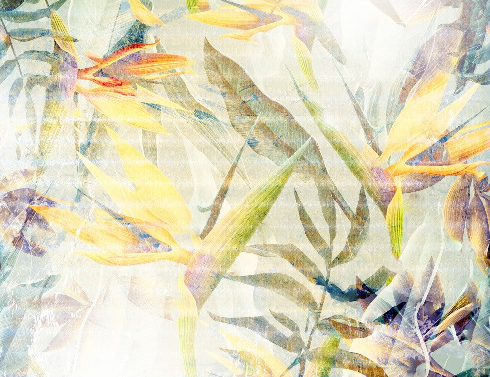Ombre056jungle