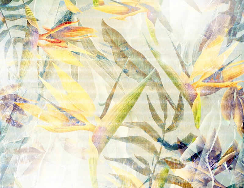 Ombre056jungle
