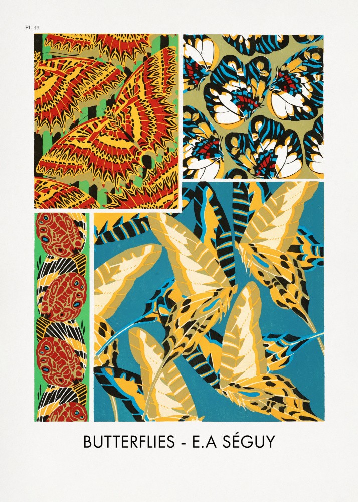 Butterflies 19