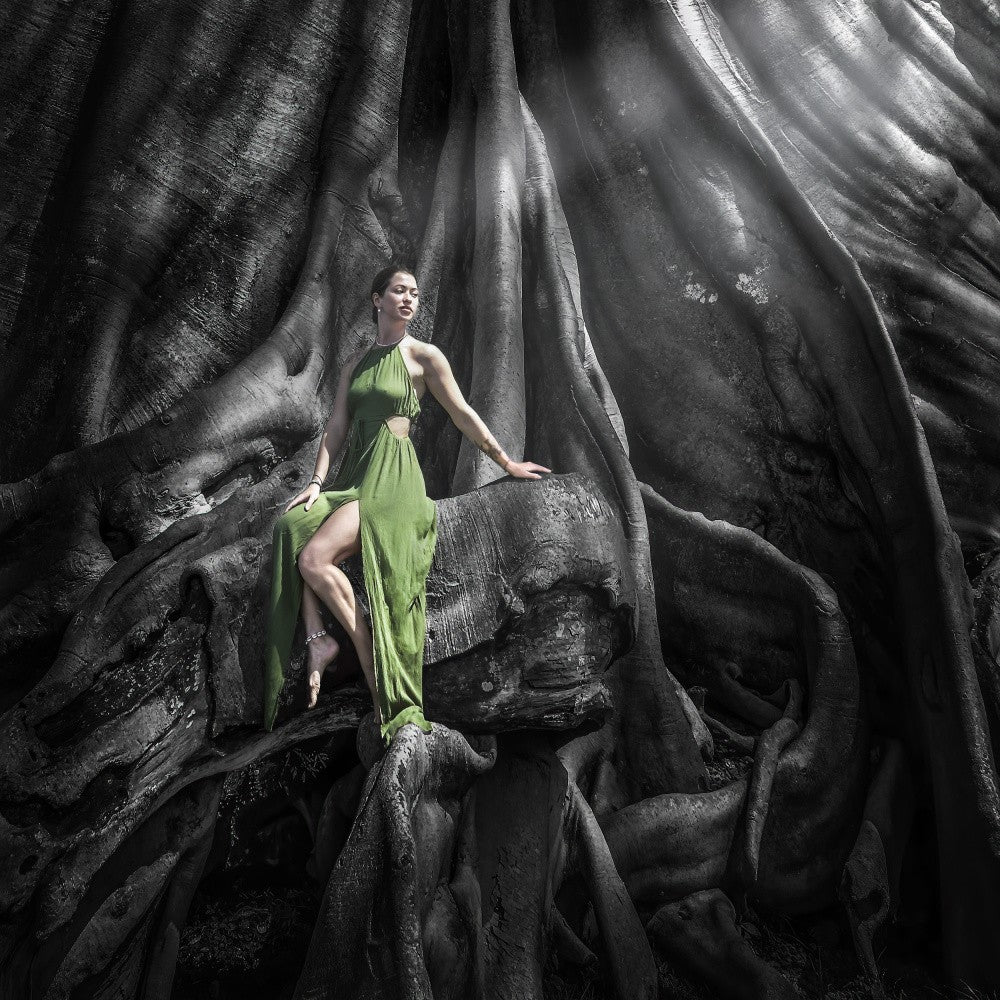 Woman and The Old tree