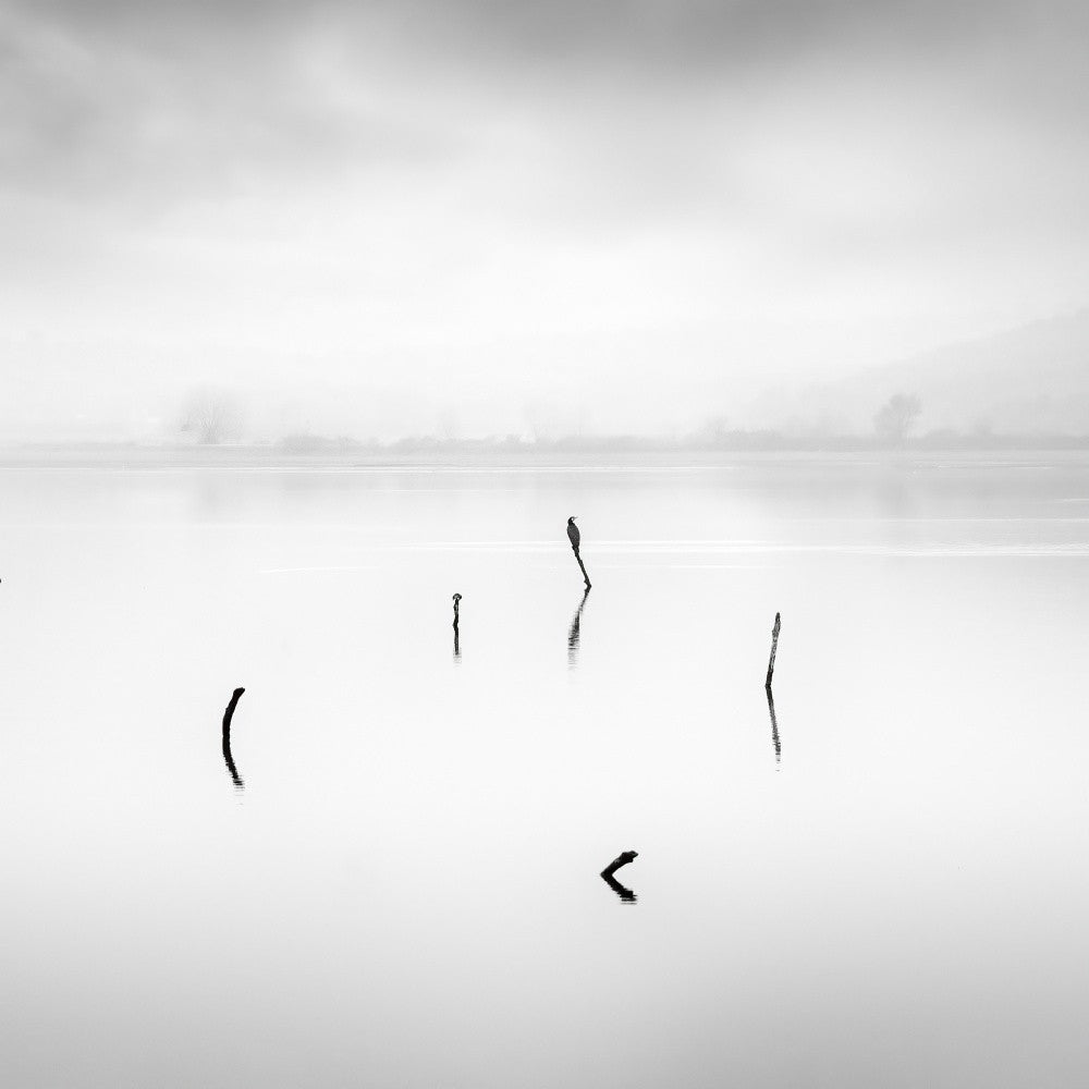 Lake Kerkini