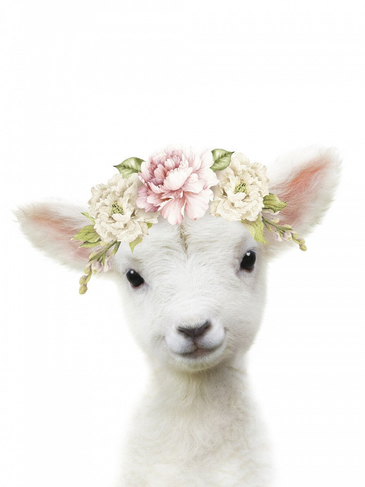 Blumen Babyschaf