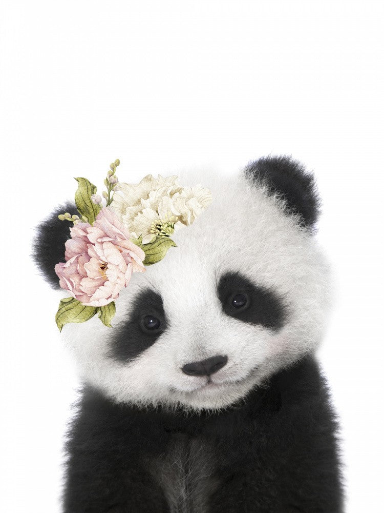 Blumen Babypanda