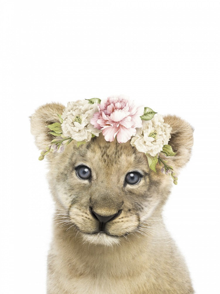 Floral Baby Lion