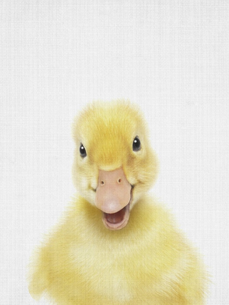 Peekaboo Baby Duck