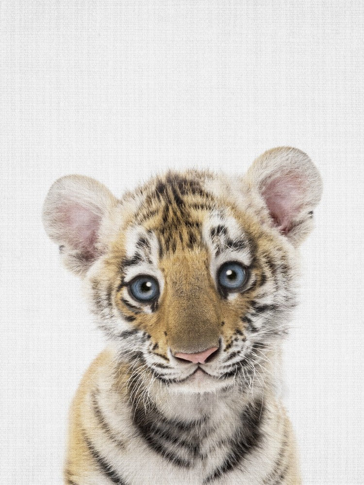 Peekaboo Baby Tiger