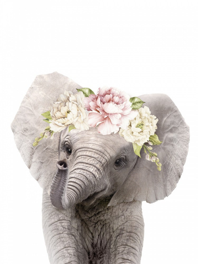 Floral Baby Elephant